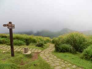 One of the many beautifully maintained paved paths in Yangmingshan National Park 
