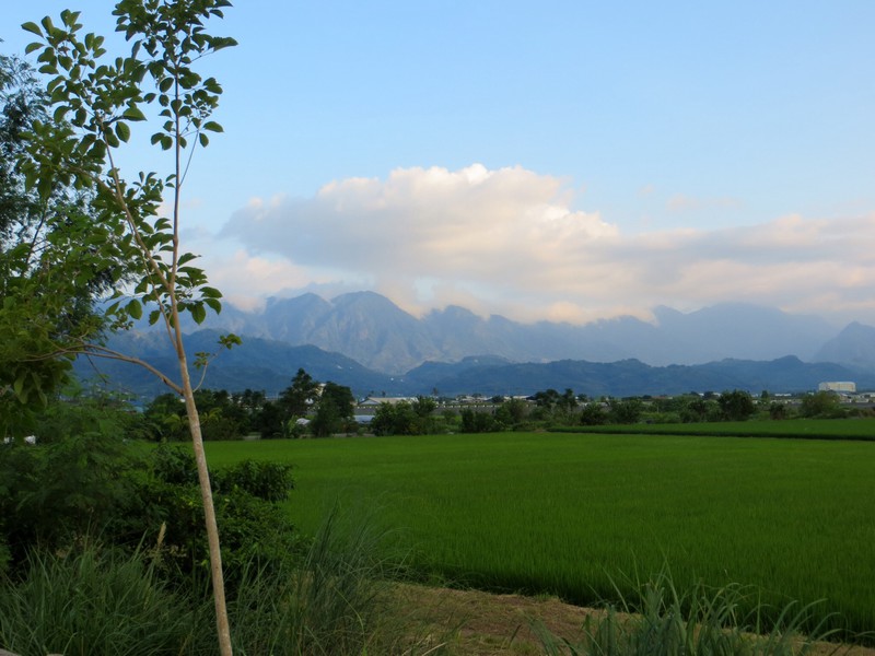 Looking across the rice fields in Guanshan