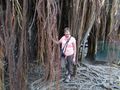 Linny amidst the roots of the Banyan tree in the interior of the Anping Tree House