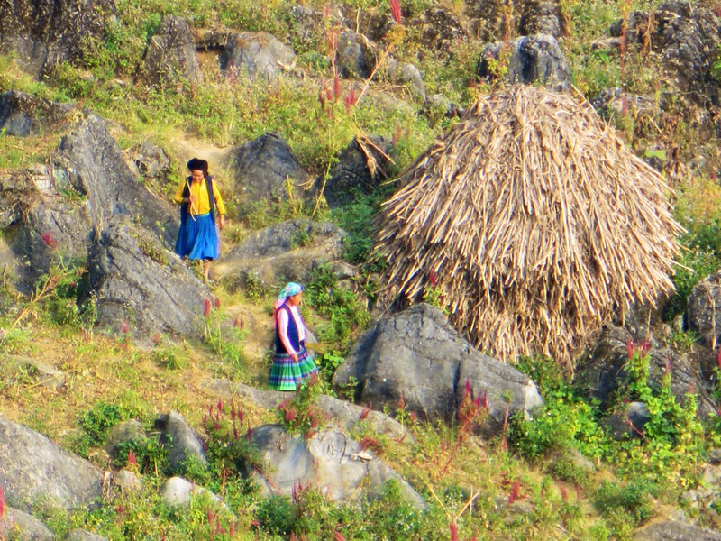 Haystack and young H'mong women in a field below the lookout on the pass