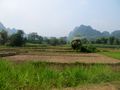 Harvested rice fields close to Hanoi