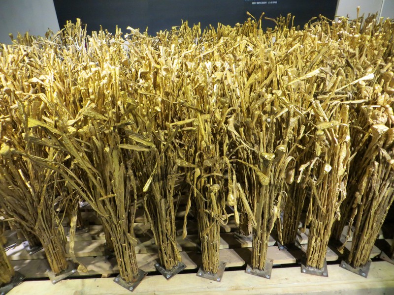 A field of golden rice - sculpture piece at the 798 Art Zone