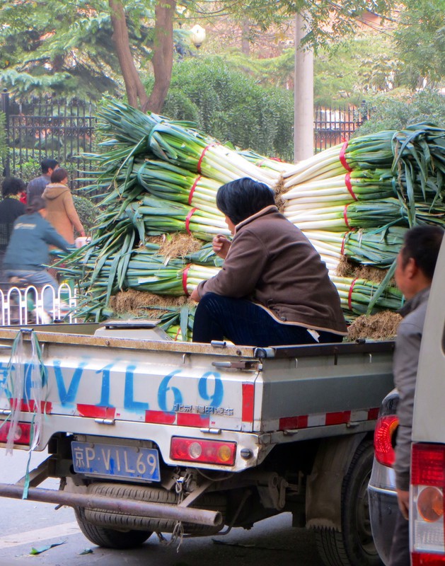 Selling enormous shallots (they weren't leeks) off the back of a truck