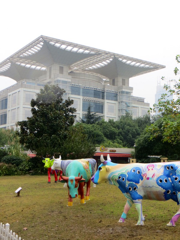 Cows in near the Shanghai Urban Planning Exhibition Hall