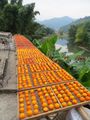 Trays of persimmons drying in Liuilian 