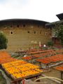 Persimmons and earthen walls