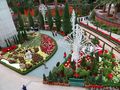 Christmas floral display within the Flower Dome