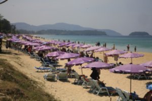 rows and rows of beach cheairs and umbrellas...