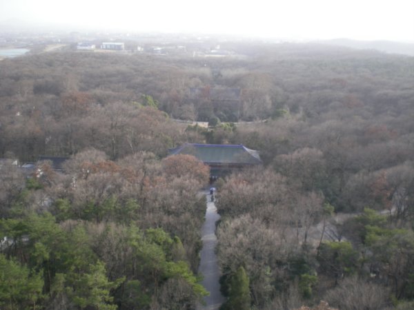Billed taget fra toppen af pagoda