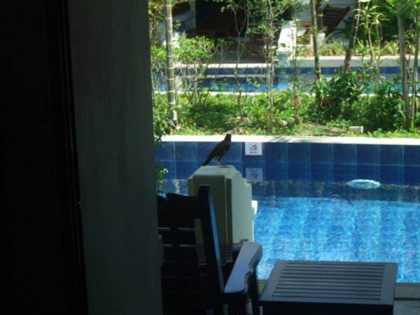 pool outside our room