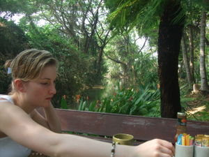 breakfast at fern paradise2