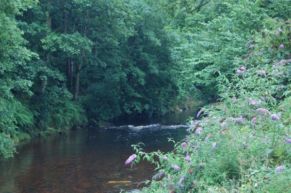 river in cushendall