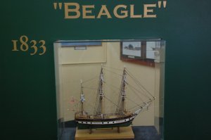 Beagle boat