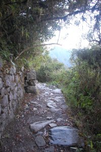 Path to Machu Picchu