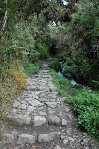 Inca Trail 049