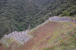 Inca Trail 167
