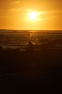 Sun rise at the Seal colony