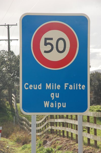 Signs we saw going through a town in NZ! We were told it was Scottish though