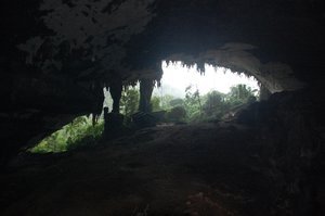 Niah cave
