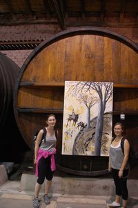 Wine Tour Mendoza