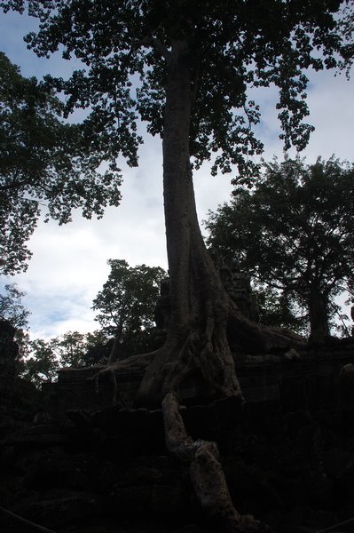 Temples of Angkor