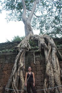 Temples of Angkor