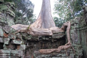 Temples of Angkor