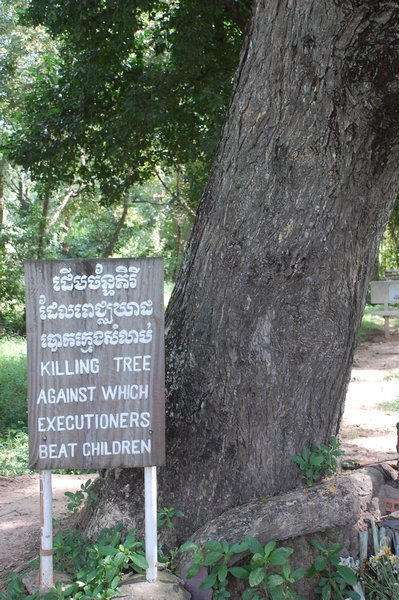 Tree used for killing children