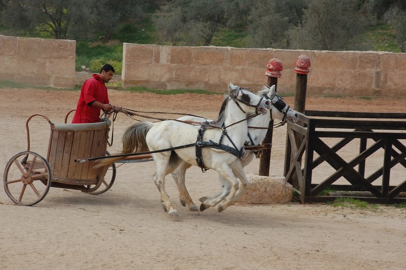 Roman Chariot Race
