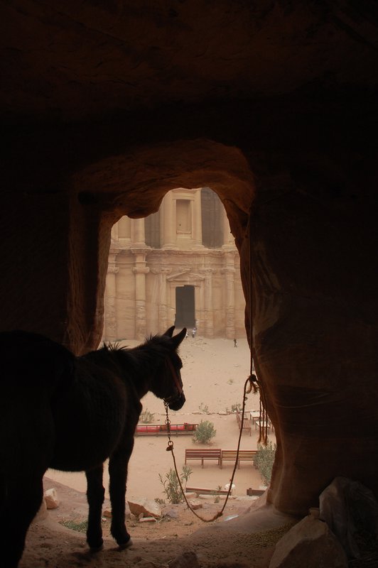 The best view in Petra!