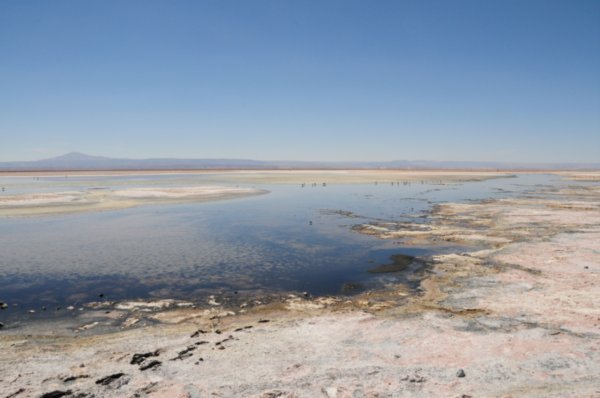 Atacama Salt Flats (115)