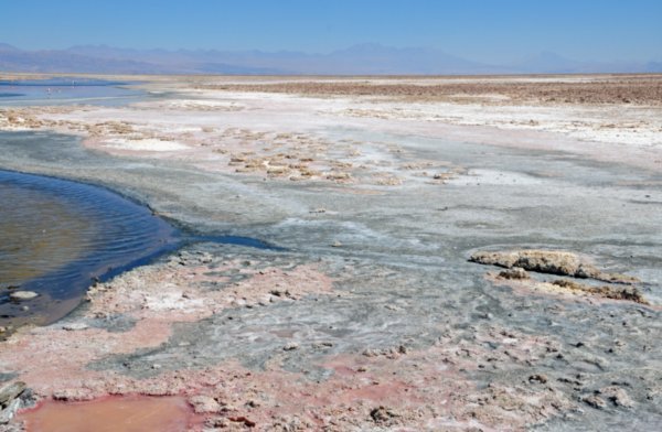 Atacama Salt Flats (135)