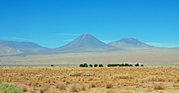 Atacama Salt Flats (207)