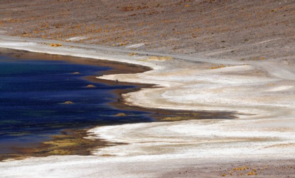 Atacama Salt Flats (60)