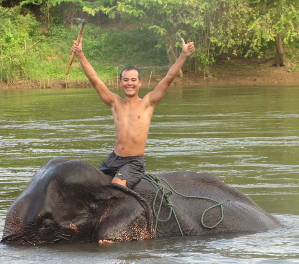 Swimming With Elephants!