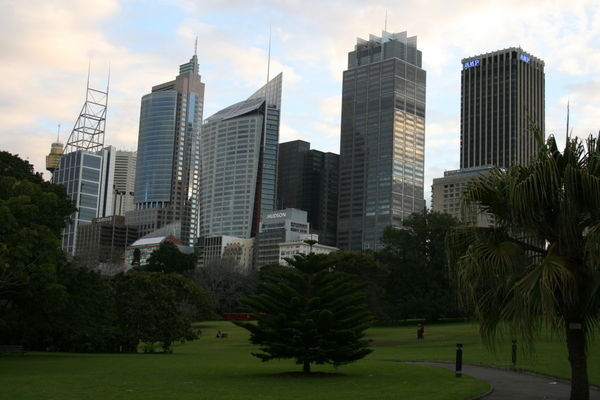 The City From Hyde Park