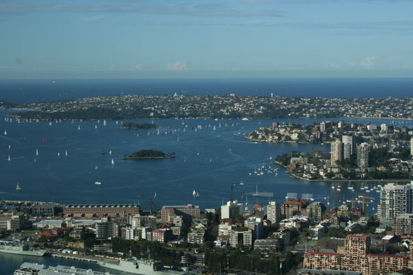 View From Sydney Observation Tower