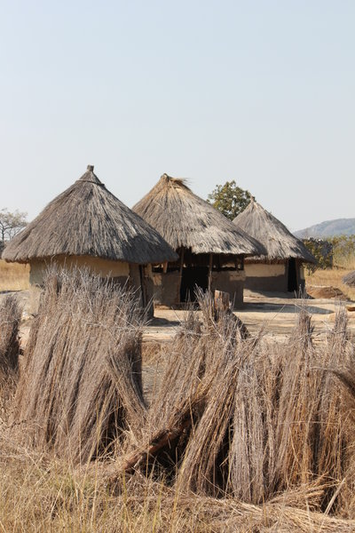 Rural Village