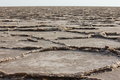 Salt Desert Formations