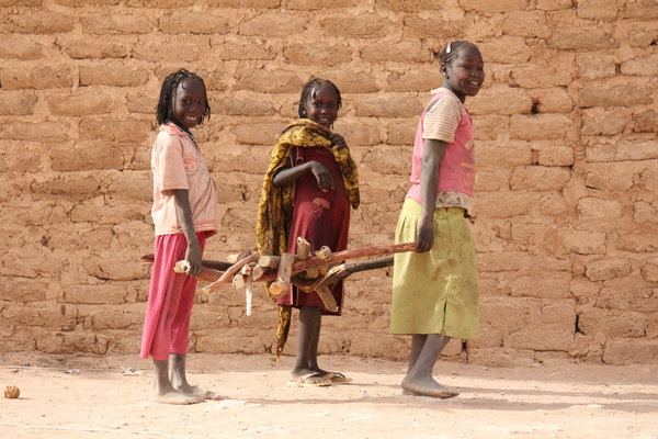Children Collecting Fire Wood