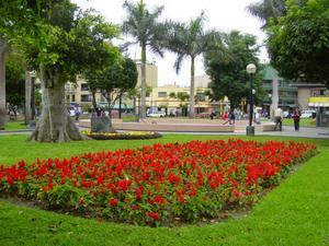 Gardens in Miraflores