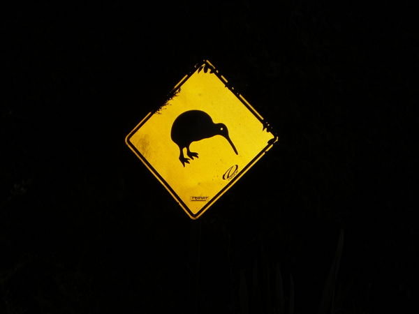 Kiwi Sign