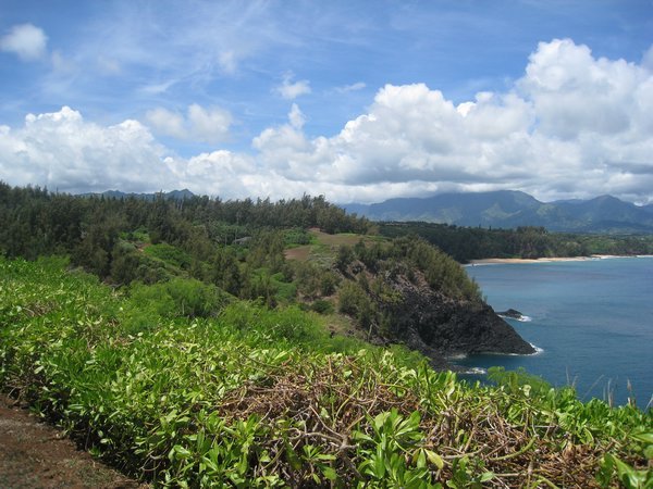 We've arrived in Kauai.  Look how green and lush!