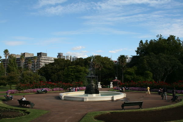 the center of the park