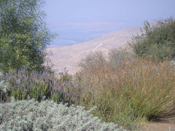 View from Kibbutz Mevo Hamma