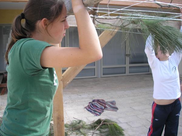 Adding the Roof to the Sukkah