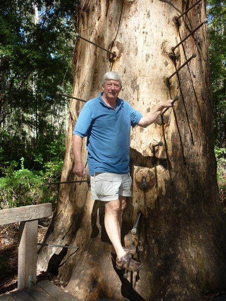 Barry at bottom of Gloucester Tree