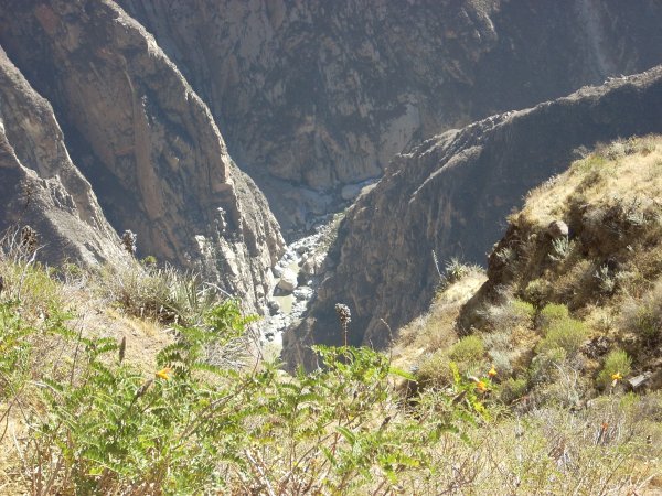 View into Colca Canyon