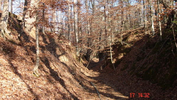 Part of Actual Old Trail 2