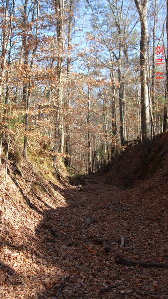 Part of Actual Old Trail 3